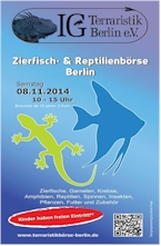 Zierfisch- u. Reptilienbörse, Eintritt ab 12 Jahre 2 €
